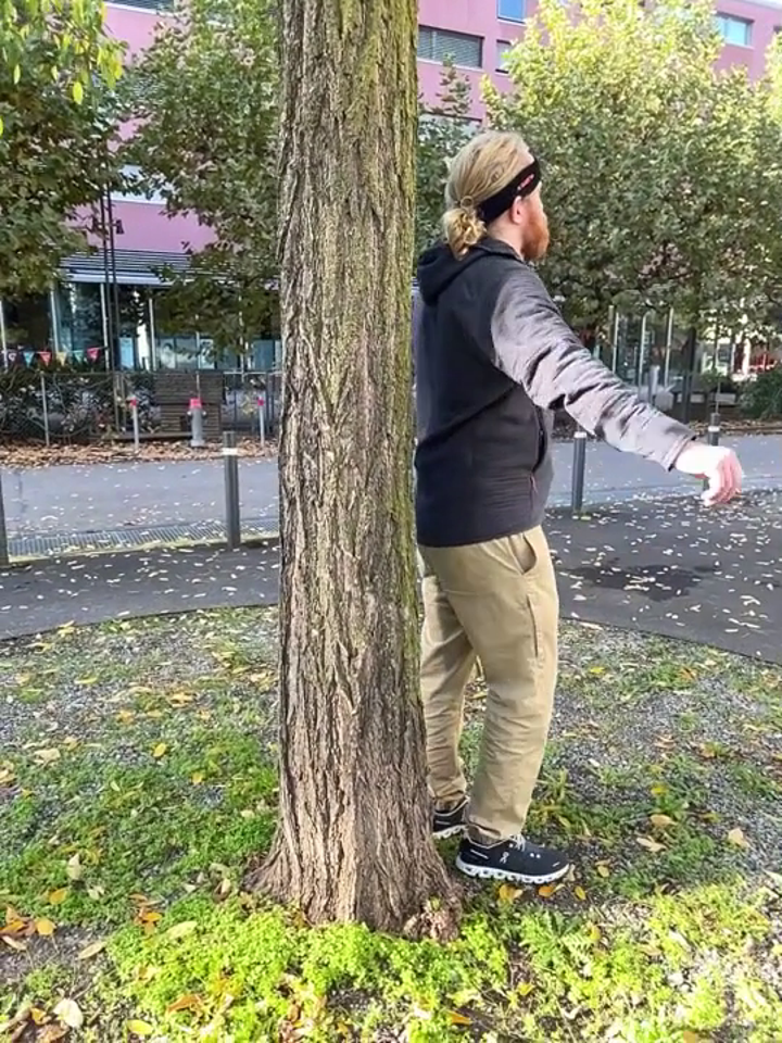 Ground-truth example under occlusion